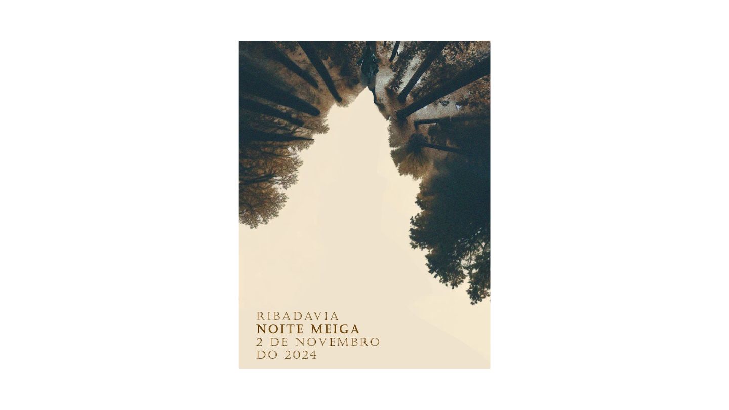 Foto Excursión a la Noite Meiga de Ribadavia